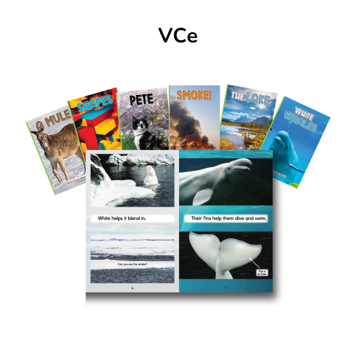 Developing Decoders Kindergarten Green Nonfiction Collection (50 titles, with 6 copies of each)