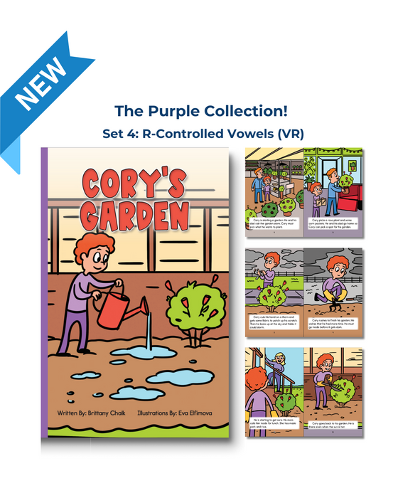 Developing Decoders Purple Collection Set 4:  R-Controlled Vowels (VR) (1 set, 15 titles)