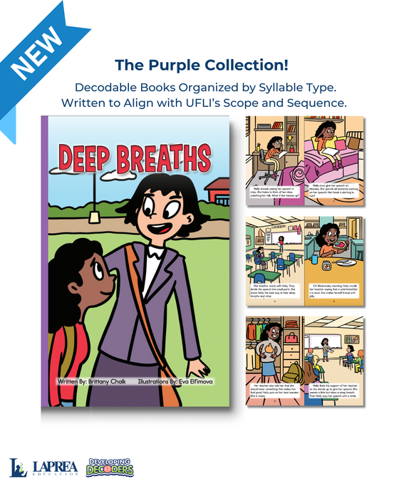 Developing Decoders Purple Collection Set 5: Vowel Teams (VV), and Silent Letters (1 set, 15 titles)
