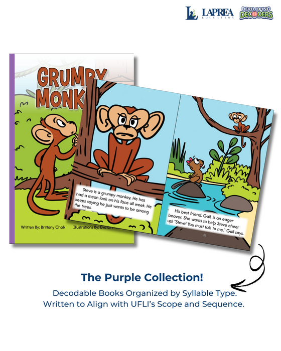 Developing Decoders Purple Collection Set 5: Vowel Teams (VV), and Silent Letters (1 set, 15 titles)