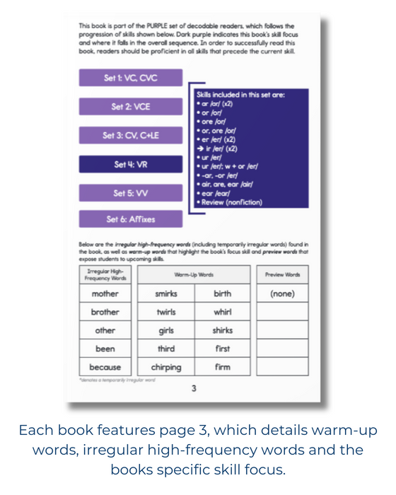 Developing Decoders Purple Collection Set 4:  R-Controlled Vowels (VR) (1 set, 15 titles)