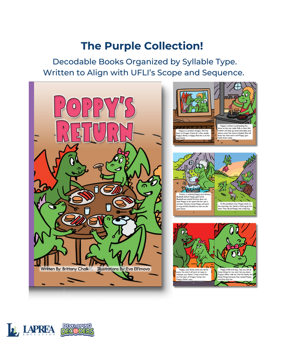 Developing Decoders Purple Collection Set 6:  Affixes (1 set, 15 titles)