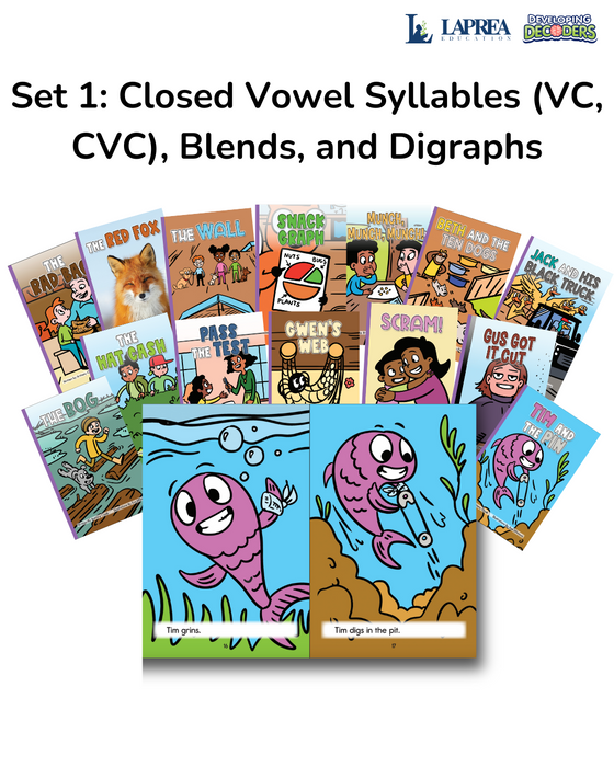 Developing Decoders Purple Collection Set 1: VC, CVC with Blends and Digraphs (1 set, 15 titles)