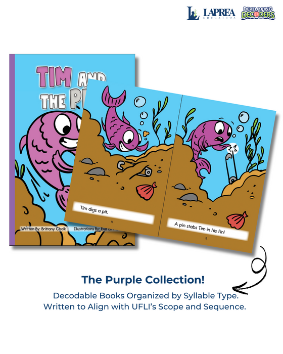 Developing Decoders Purple Collection Set 1: VC, CVC with Blends and Digraphs (1 set, 15 titles)