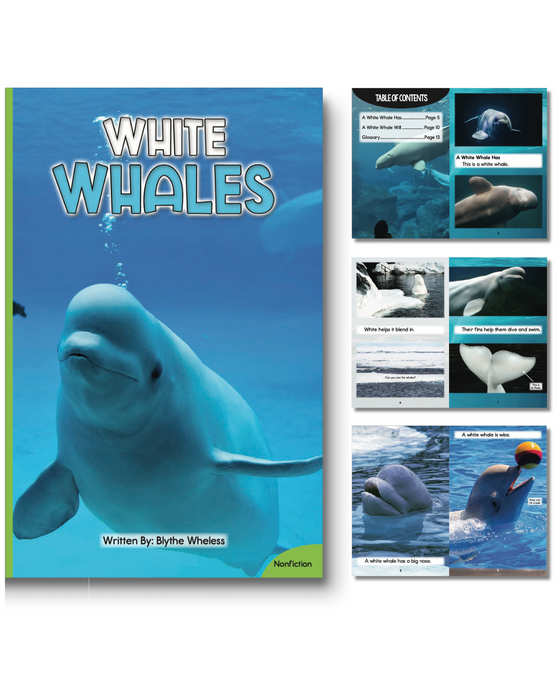 Developing Decoders Complete Green Nonfiction Single-Title Collection