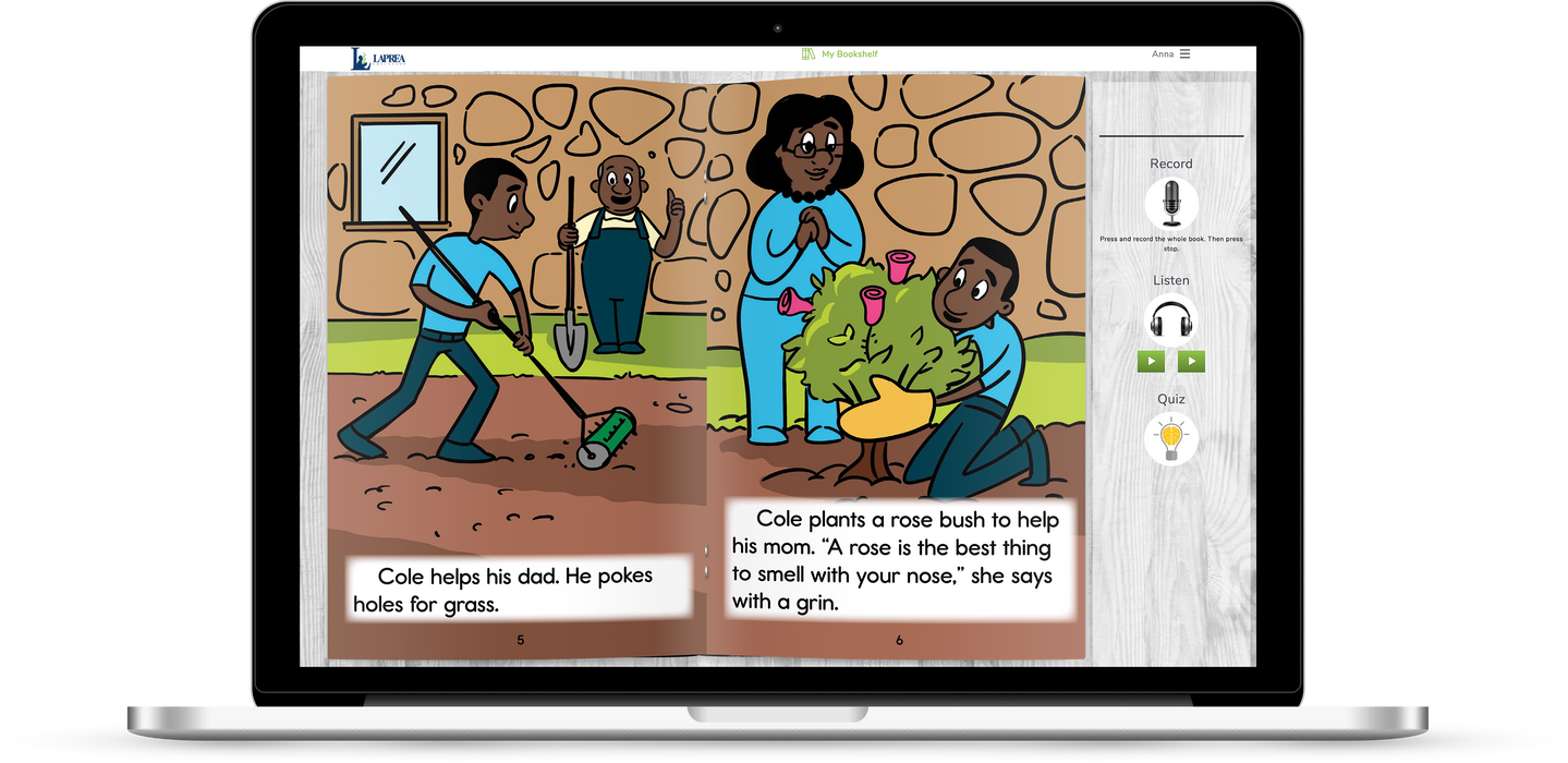 1st Grade Developing Decoders Green Fiction Collection (1092 Books - Green Set)