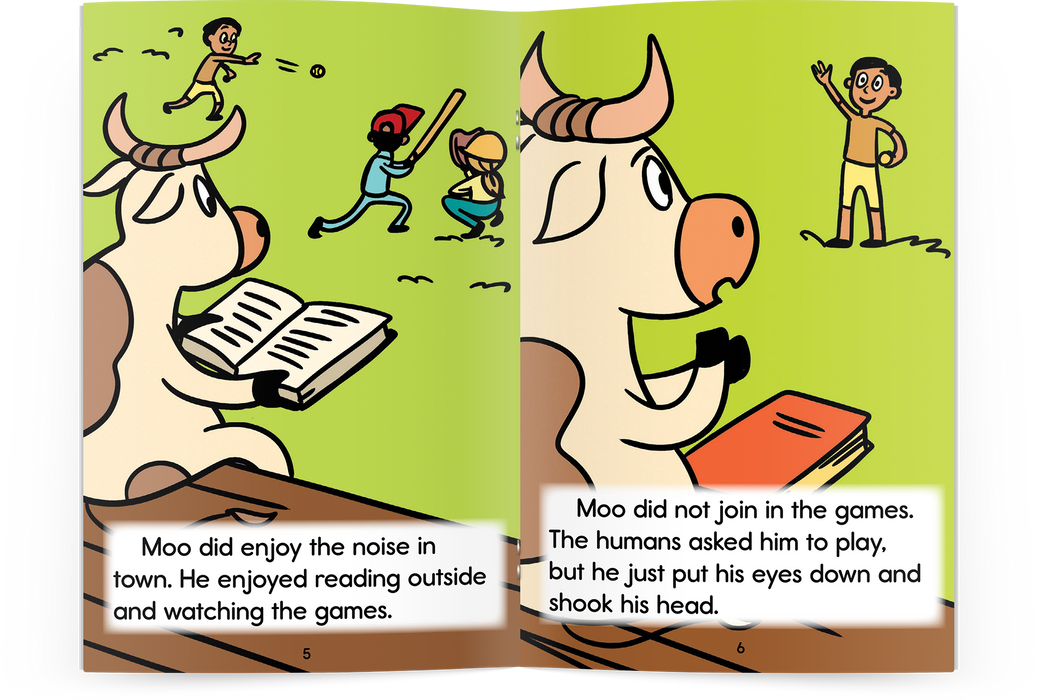 2nd Grade Developing Decoders Green Fiction Collection (1020 Books - Green Set)