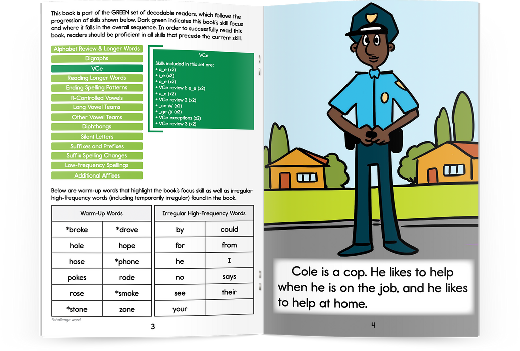 1st Grade Developing Decoders Green Fiction Collection (1092 Books - Green Set)