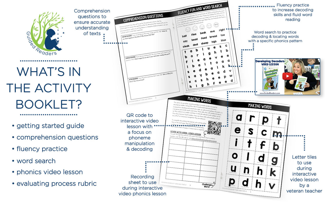 Decodable Readers: 15 Long Vowel Teams Phonics Books for Beginning Readers (Developing Decoders Set 9)