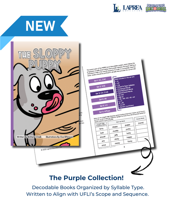 Developing Decoders Purple Collection Set 3:  Open Syllables (CV), Final Stable Syllables (C+LE), and Other Word Endings (1 set, 15 titles)