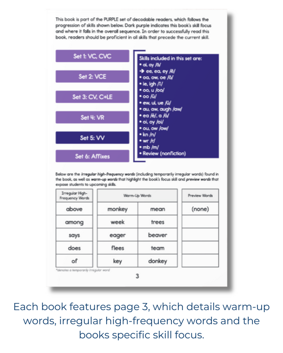 Developing Decoders Purple Collection Set 5: Vowel Teams (VV), and Silent Letters (1 set, 15 titles)