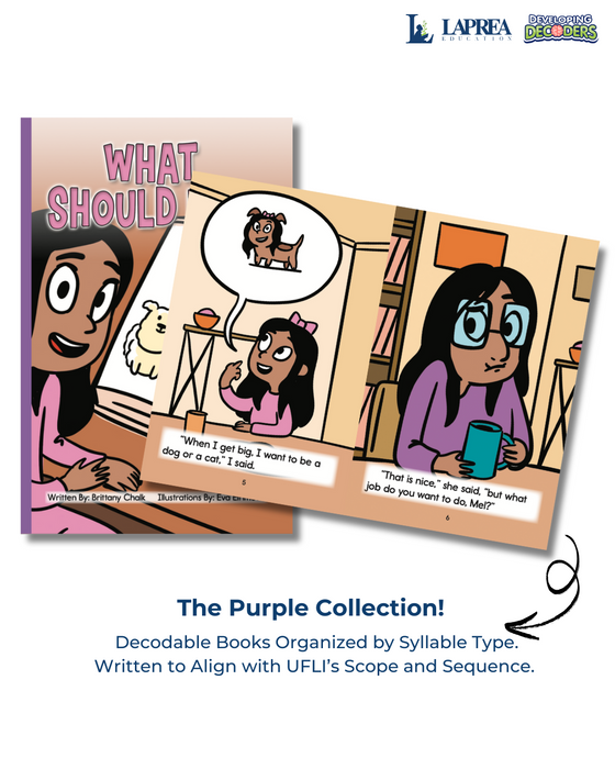 Developing Decoders Purple Collection Set 3:  Open Syllables (CV), Final Stable Syllables (C+LE), and Other Word Endings (1 set, 15 titles)