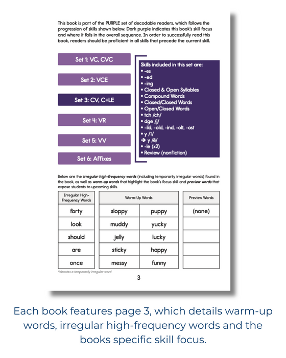 Developing Decoders Purple Collection Set 3:  Open Syllables (CV), Final Stable Syllables (C+LE), and Other Word Endings (1 set, 15 titles)