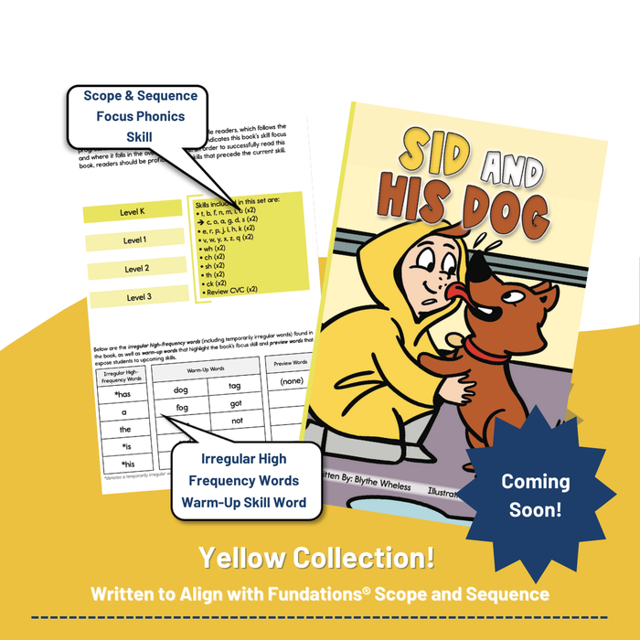 Developing Decoders Whole YELLOW Collection: Levels K - 3 | 164 Fundations® Aligned Books