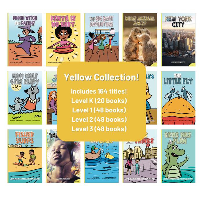 Developing Decoders Whole YELLOW Collection: Levels K - 3